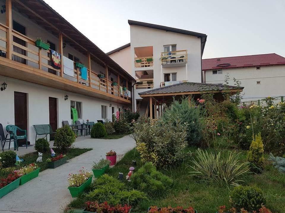 La Nasa Costinesti Hotel Bagian luar foto